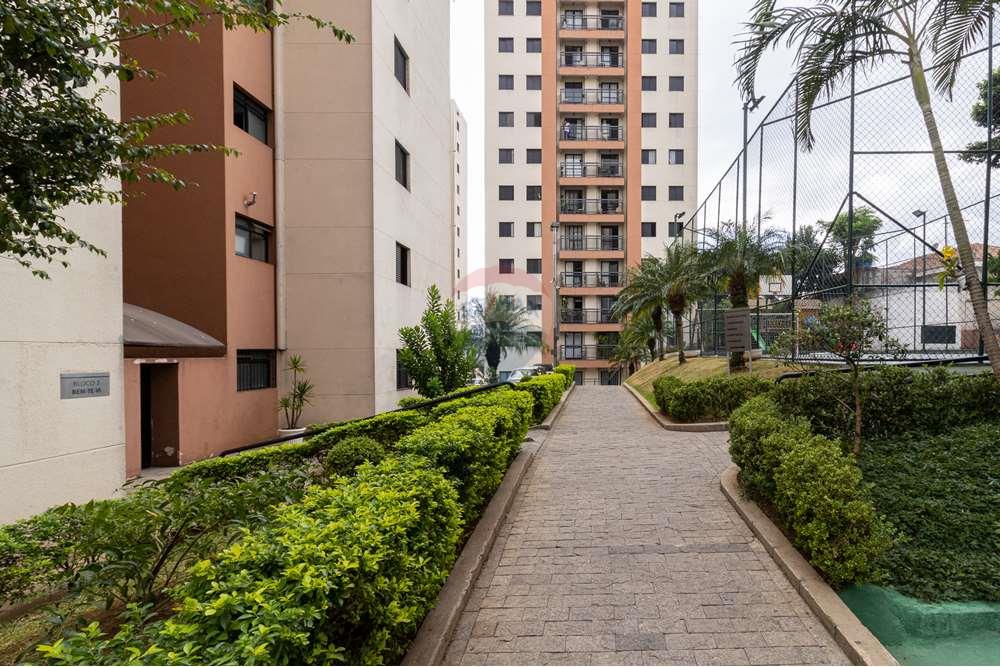 Apartamento - Alugar - São Paulo , São Paulo - Rua Antônio Ribeiro de Morais, 264_10.jpg - 601771003-358