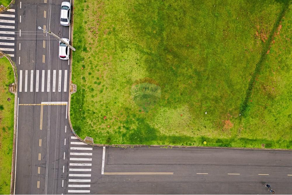 Terreno - Venda - Cotia , São Paulo - DJI_0349.jpg - 602241019-16