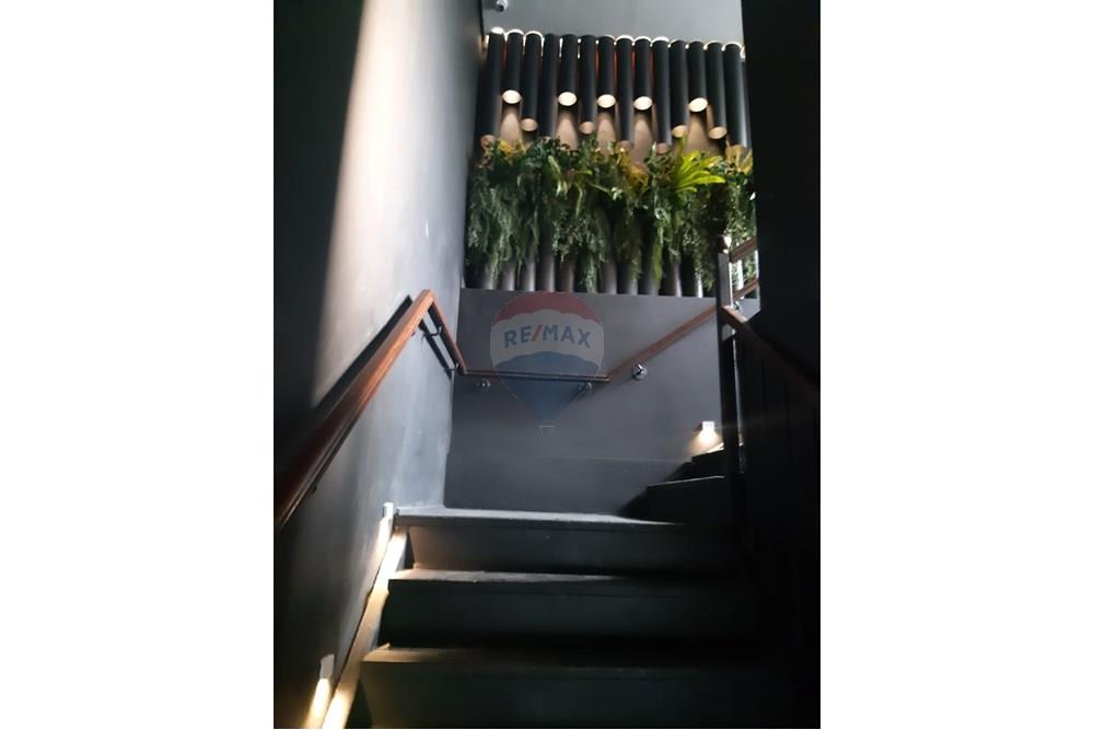 Casa Comercial - Alugar - São Paulo , São Paulo - 8.jpeg - 630331112-25