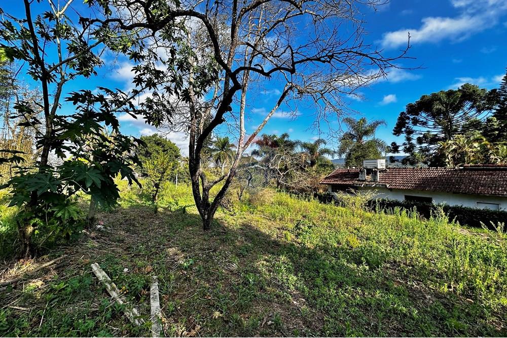 Casa - Venda - Cotia , São Paulo - IMG_8965.jpg - 602331010-36