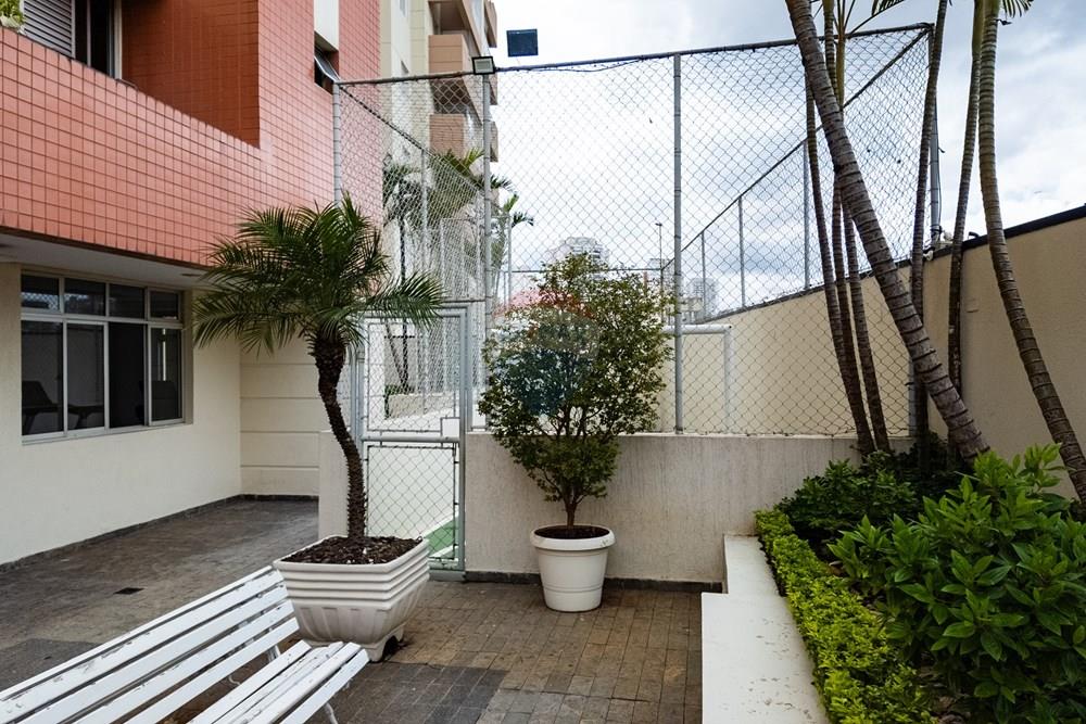 Apartamento - Venda - São Paulo , São Paulo - AP-79.jpg - 601971016-555