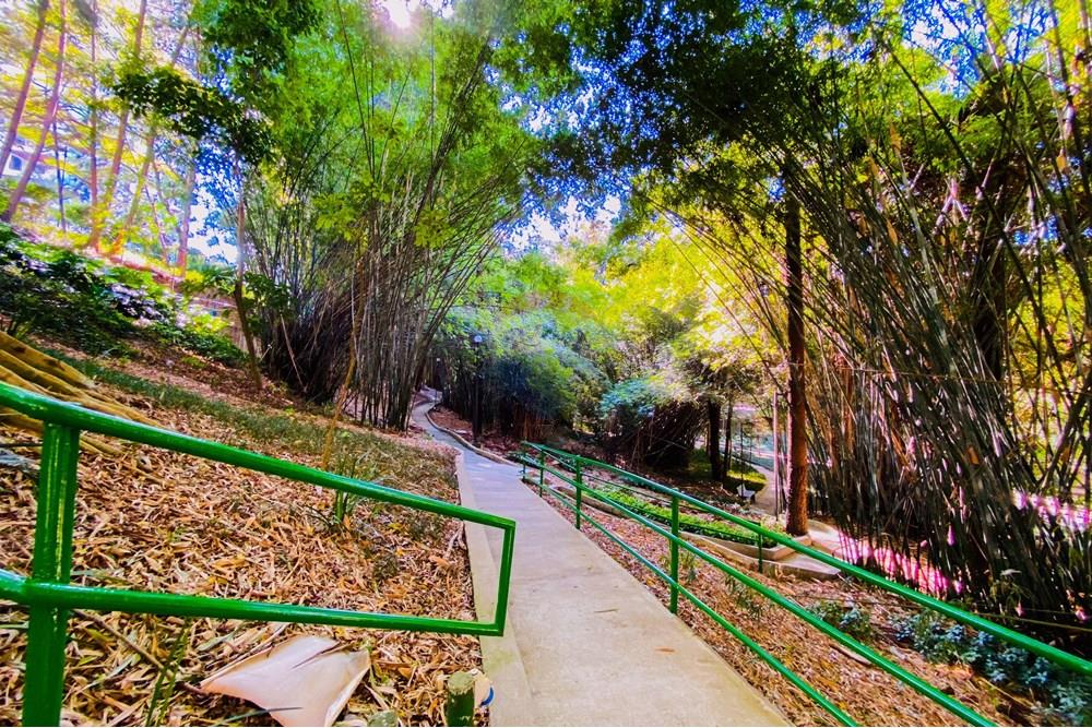 Cobertura - Venda - São Paulo , São Paulo - IMG_9265.jpg - 602361011-52