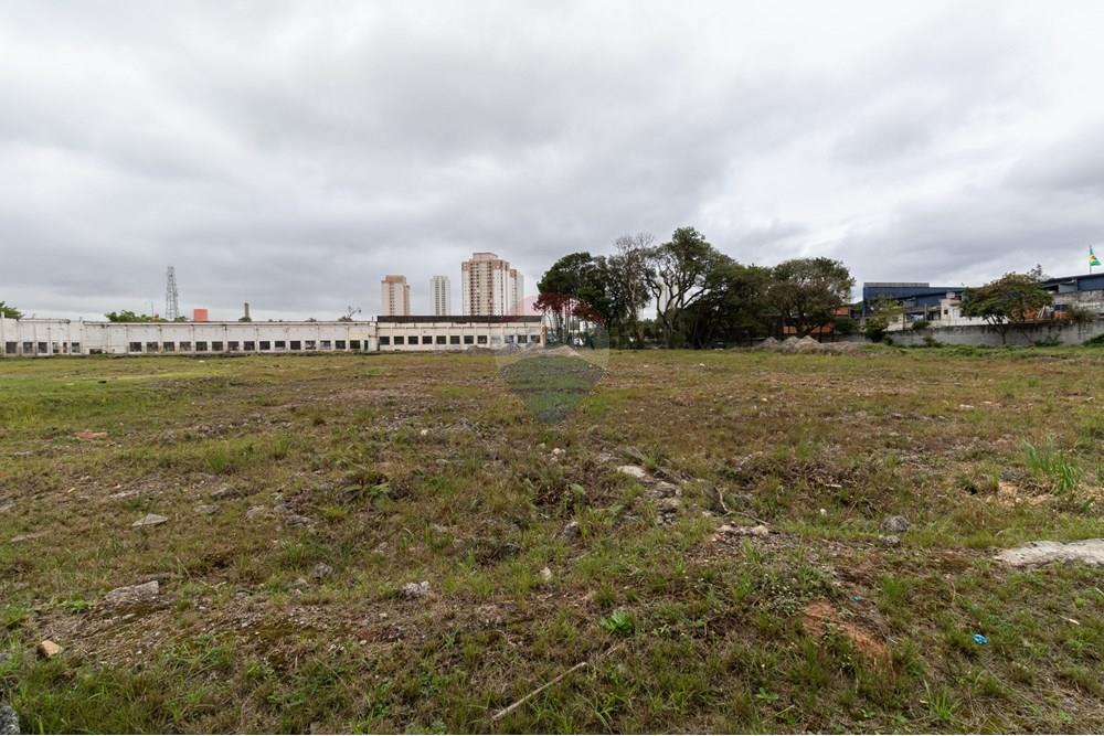 Terreno - Venda - São Paulo , São Paulo - 01fotos_069.jpg - 601251084-263