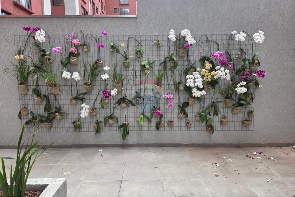 Apartamento - Alugar - São Paulo , São Paulo - WhatsApp Image 2026-03-07 at 09.28.13 (2).jpeg - 601361081-52