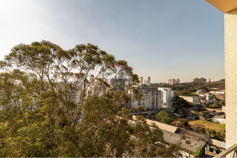 Apartamento - Venda - São Paulo , São Paulo - IMG_2418.jpg - 601301079-29