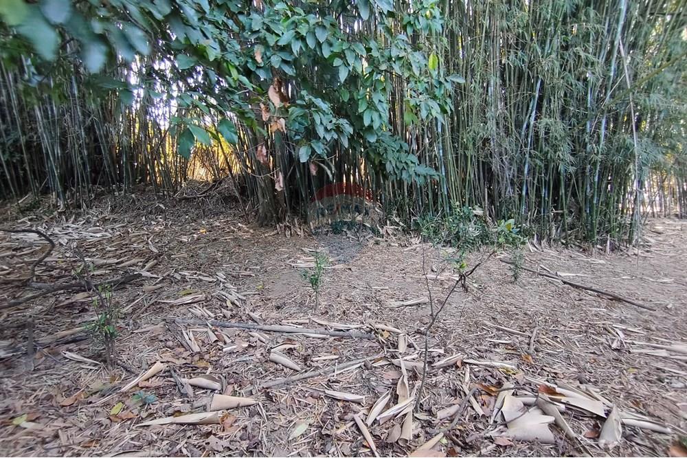 Terreno - Venda - Ferraz de Vasconcelos , São Paulo - IMG_20250918_150214.jpg - 601451005-109