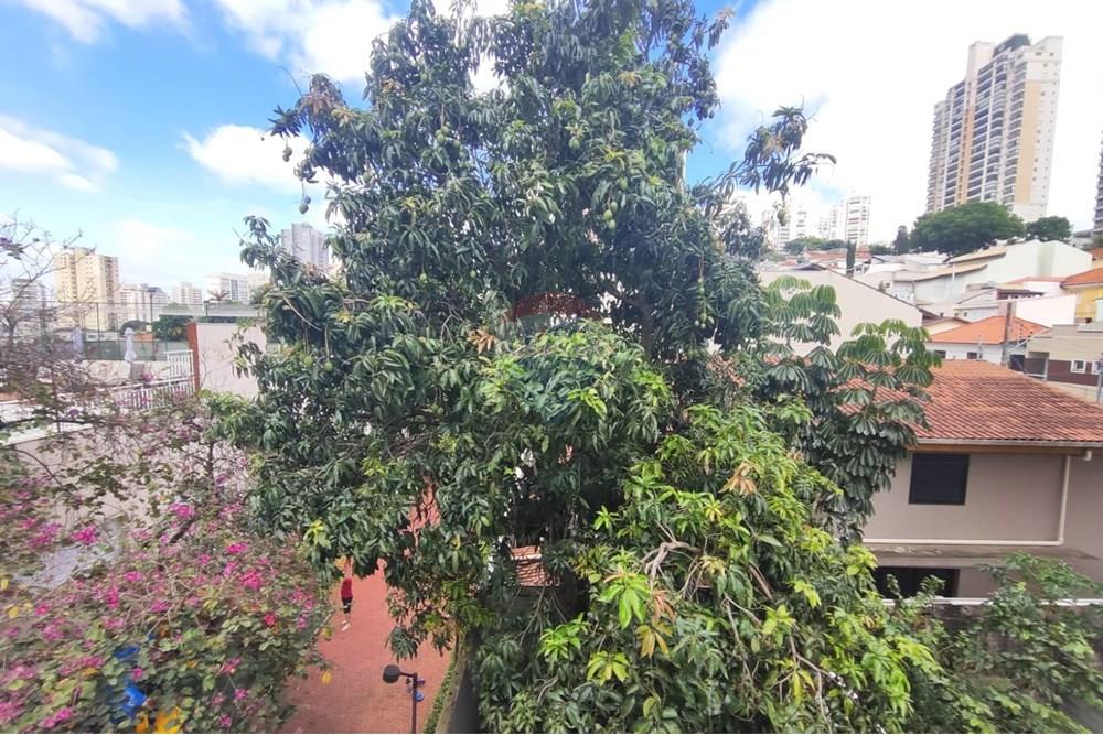 Studio - Alugar - São Paulo , São Paulo - WhatsApp Image 2025-12-22 at 16.43.54.jpeg - 601991048-39