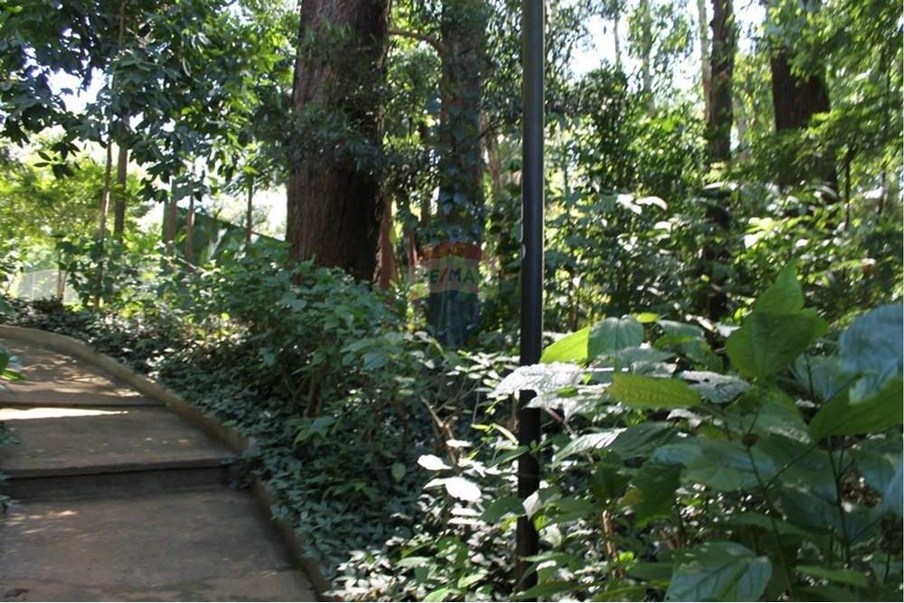 Apartamento - Venda - São Paulo , São Paulo - 5.jpg - 602161004-162