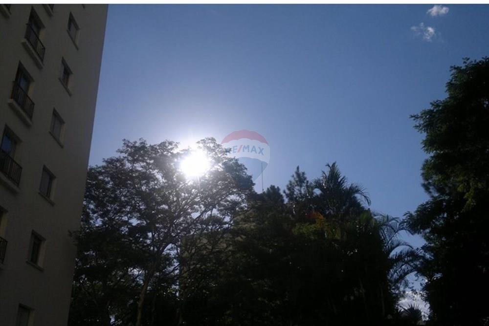 Apartamento - Alugar - São Paulo , São Paulo - ed4dfd41-132f-42ff-b5cf-148e70ec84ac.jpg - 601461002-82