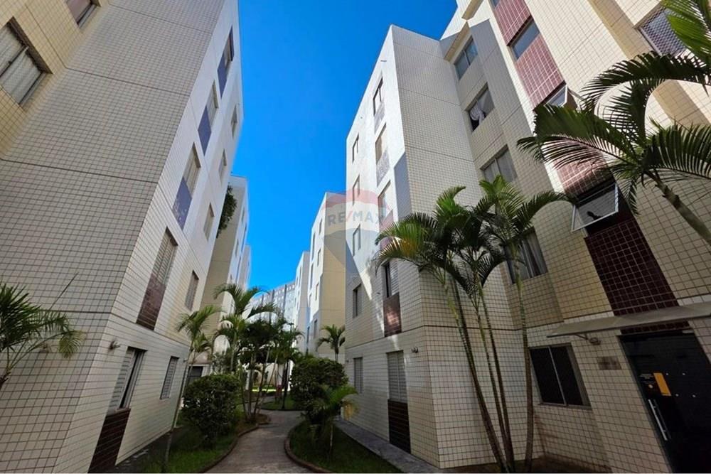 Apartamento - Alugar - São Paulo , São Paulo - 20260113_155633.jpg - 602381002-154