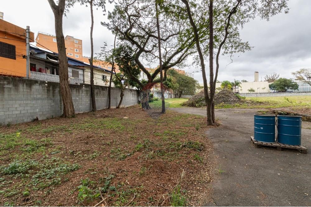 Terreno - Venda - São Paulo , São Paulo - 01fotos_060.jpg - 601251084-263