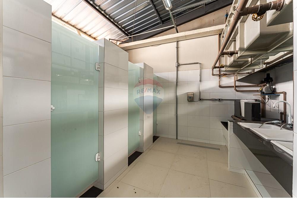 Galpão - Venda - São Paulo , São Paulo - DSC05911.jpg - 601261002-212