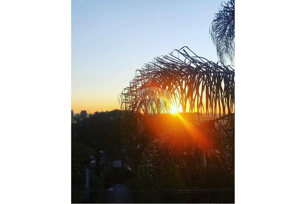 Apartamento - Alugar - São Paulo , São Paulo - 45.jpg - 602191017-915