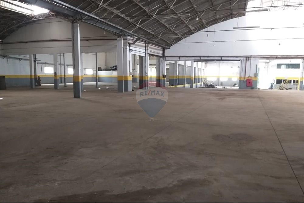 Galpão - Alugar - São Paulo , São Paulo - 43.jpg - 602291021-222