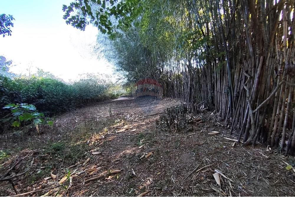 Terreno - Venda - Ferraz de Vasconcelos , São Paulo - IMG_20250918_145945.jpg - 601451005-109