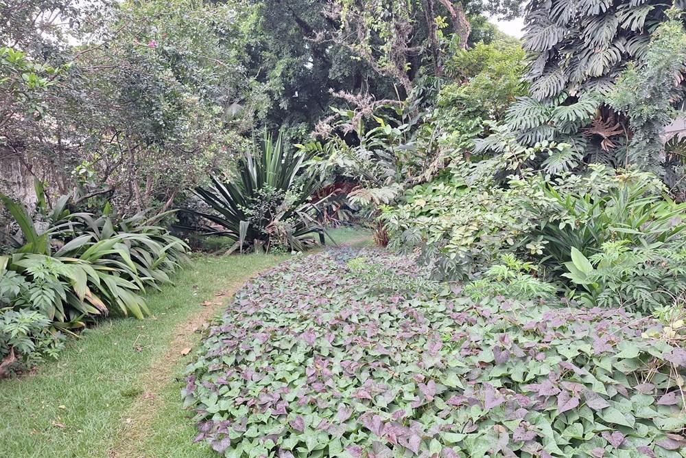 Terreno - Venda - São Paulo , São Paulo - 20260224_175548.jpg - 602271022-177