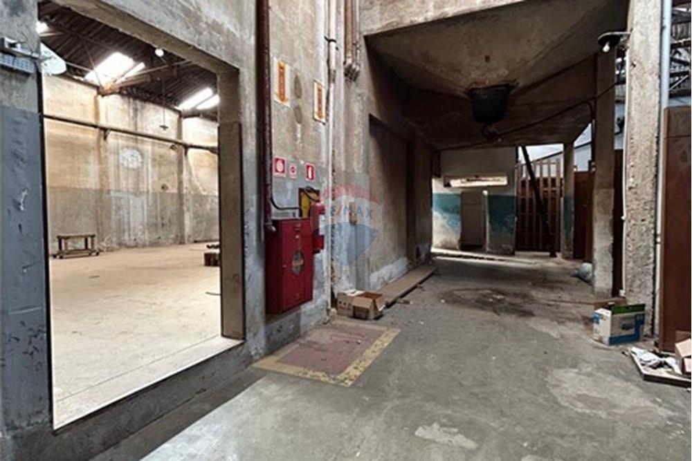 Galpão - Alugar - São Paulo , São Paulo - IMG-20250912-WA0014.jpg - 602261032-19