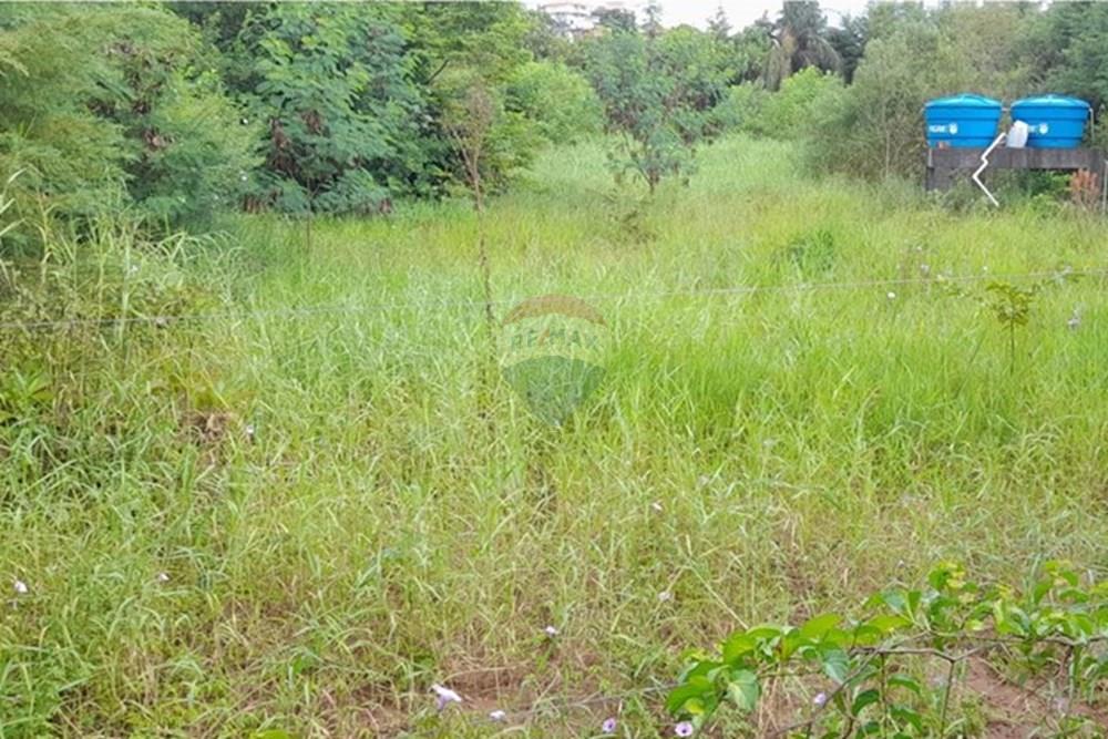 Casa - Venda - Caieiras , São Paulo - WhatsApp Image 2025-04-25 at 09.13.31 (4).jpeg - Jardim Interno - 601171021-49