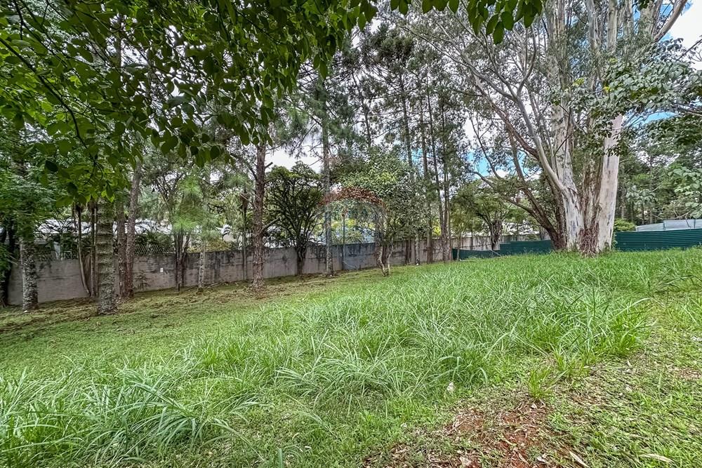 Terreno - Venda - São Paulo , São Paulo - Cópia de IMG_612031.jpg - Pátio interno - 601131046-23