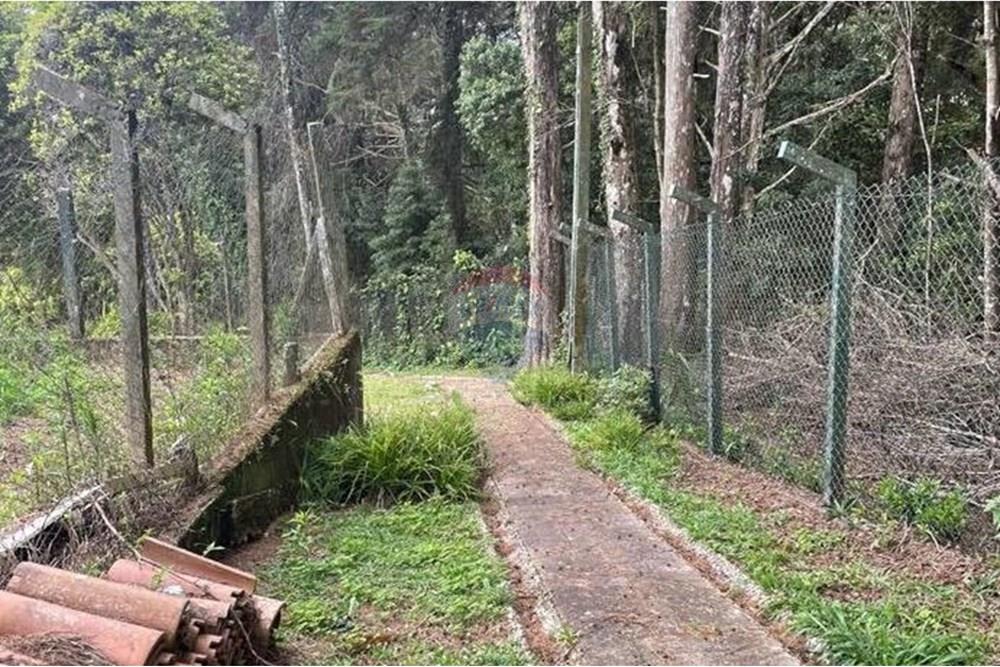 Casa de Campo - Venda - Campos do Jordão , São Paulo - WhatsApp Image 2025-12-15 at 13.20.44.jpeg - 601131073-17