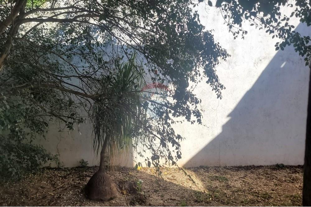 Casa - Venda - São Paulo , São Paulo - IMG-20250522-WA0044.jpg - 602251011-46