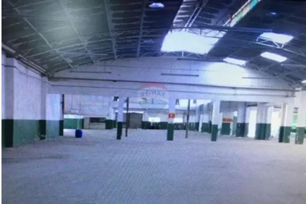 Galpão - Alugar - São Paulo , São Paulo - 11.jpg - 602291021-222