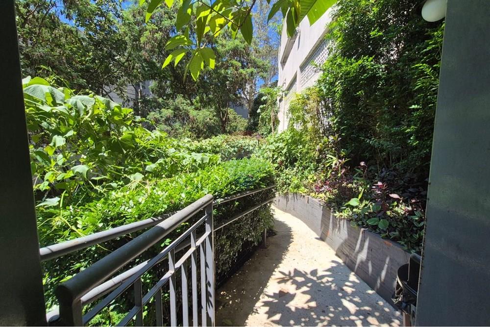 Apartamento - Alugar - São Paulo , São Paulo - WhatsApp Image 2026-03-16 at 16.22.52 (1).jpeg - 602071015-19