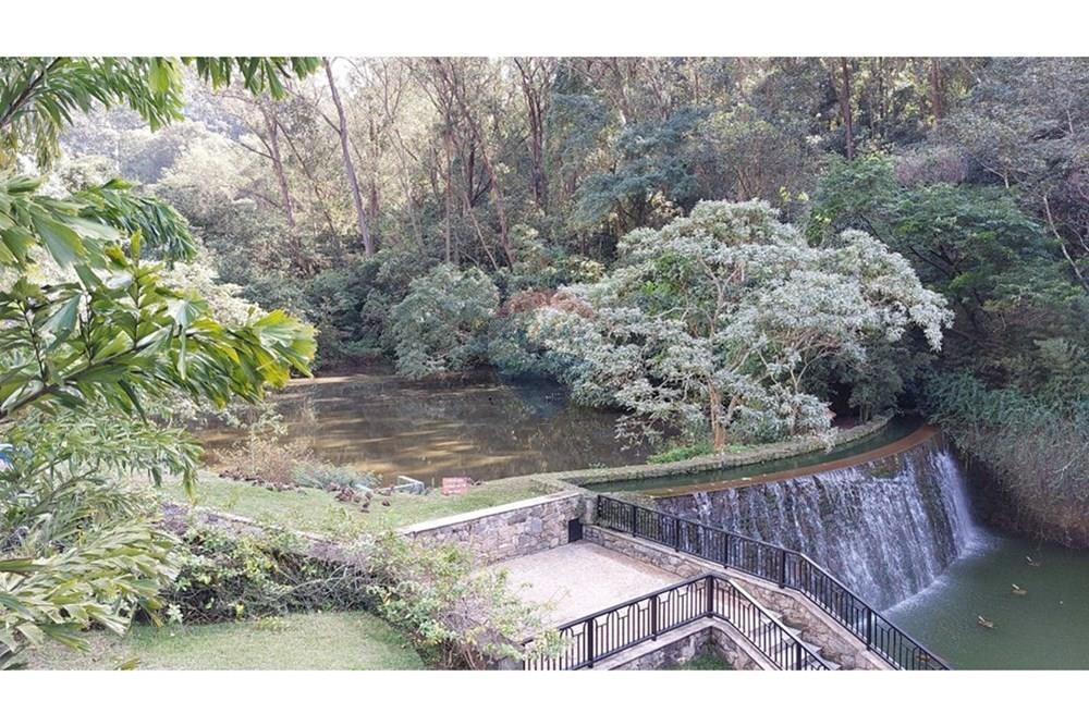 Apartamento - Alugar - São Paulo , São Paulo - 1729822491399-01fotos_046.jpeg - 602321003-89