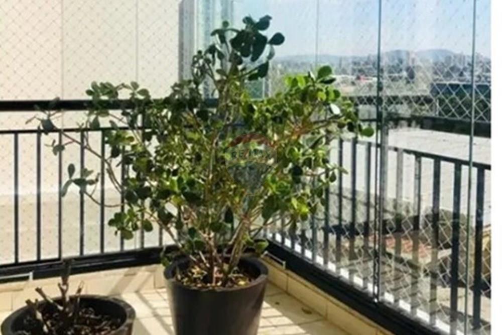 Apartamento - Alugar - São Paulo , São Paulo - WhatsApp Image 2025-12-03 at 10.41.26.jpeg - 602101050-120