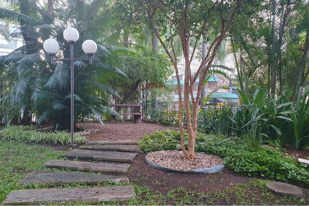 Apartamento - Alugar - São Paulo , São Paulo - 26 - ÁREA COMUM.jpg - 601361019-3049