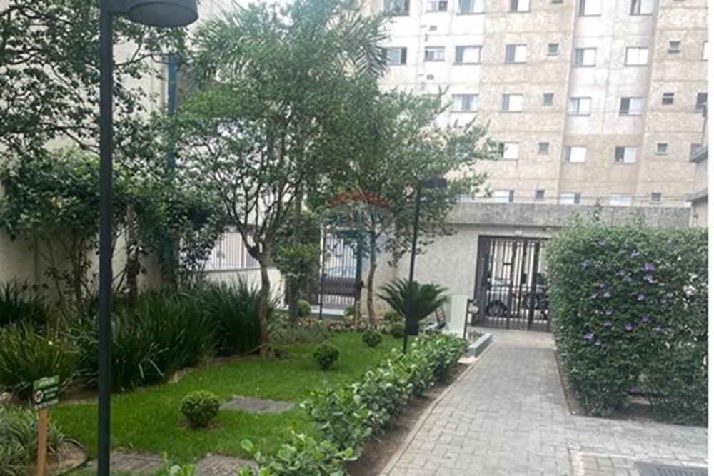 Apartamento - Venda - São Paulo , São Paulo - WhatsApp Image 2025-12-04 at 17.10.30.jpeg - 602061001-182