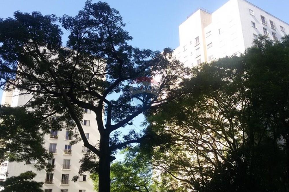 Apartamento - Alugar - São Paulo , São Paulo - 148a15b2-aec6-45fc-9bf0-8ffd742dd9b5.jpg - 601461002-82