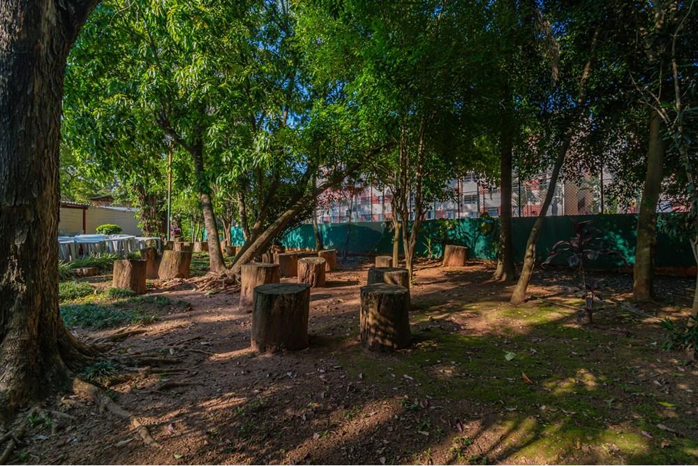 Apartamento - Venda - São Paulo , São Paulo - 02area-condominial_013.jpg - 602051002-86