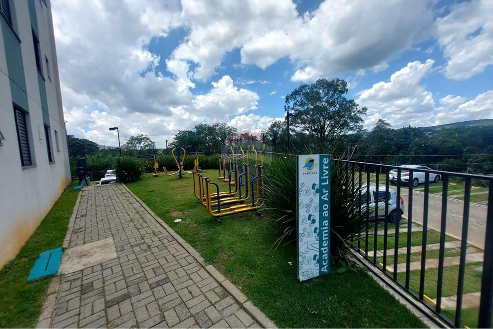 Apartamento - Alugar - Cotia , São Paulo - WhatsApp Image 2026-02-13 at 14.12.19.jpeg - 602241041-1