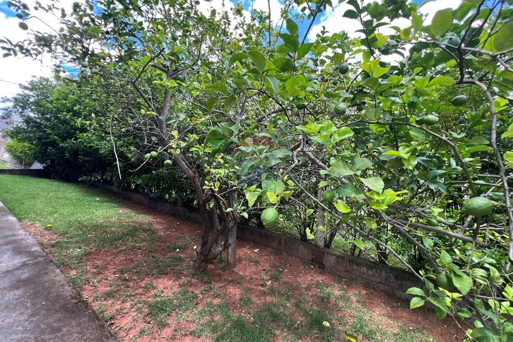 Casa de Condomínio - Venda - Itupeva , São Paulo - DJI_20251220_113618_670.JPG - 601331015-23