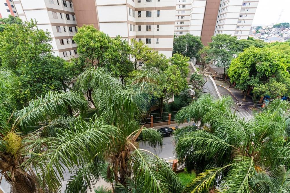 Apartamento - Venda - São Paulo , São Paulo - AP-33.jpg - 601471015-76