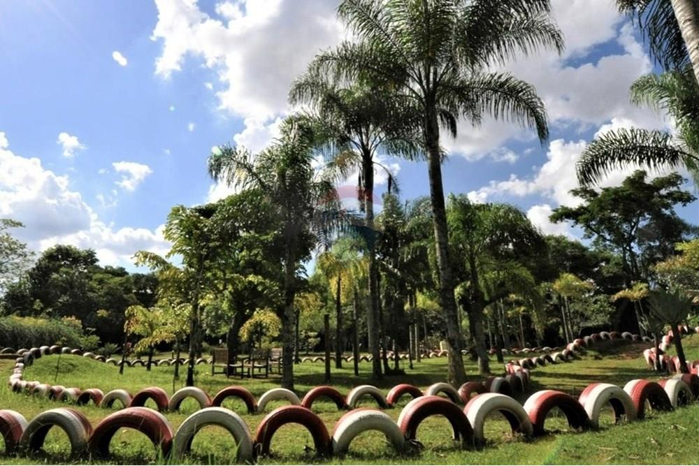 Apartamento - Venda - São Paulo , São Paulo - 1740013952024-pista_20bicicross.jpeg - 601301079-13