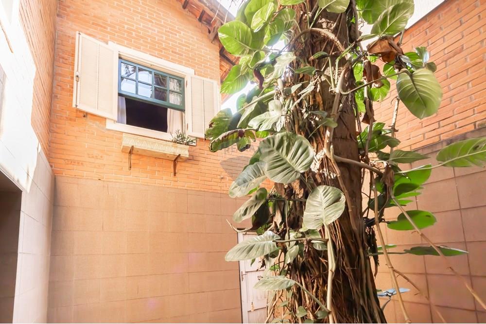 Casa - Venda - São Paulo , São Paulo - IMG_299246.jpg - Jardim Interno - 602161016-20