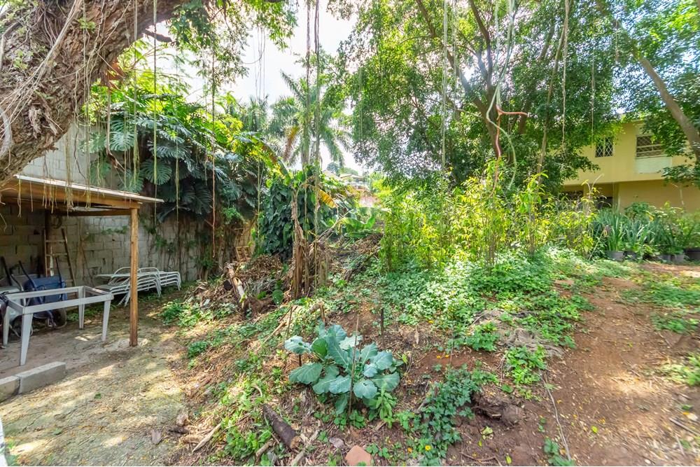 Terreno - Venda - São Paulo , São Paulo - IMG_963314.jpg - 601461011-91