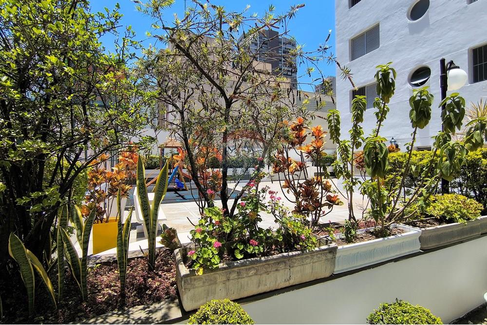 Apartamento - Alugar - São Paulo , São Paulo - IMG_20251130_121444517_HDR.jpg - 602221006-22