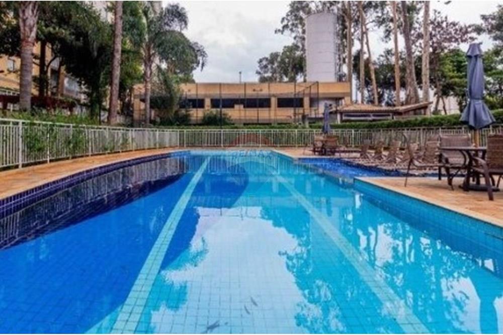 Apartamento - Alugar - São Paulo , São Paulo - piscina 1.jpg - 602131003-344