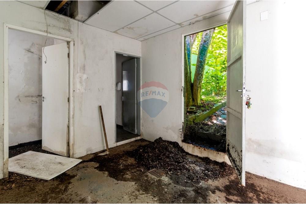 Casa Comercial - Alugar - São Paulo , São Paulo - 26.jpg - 602291016-110