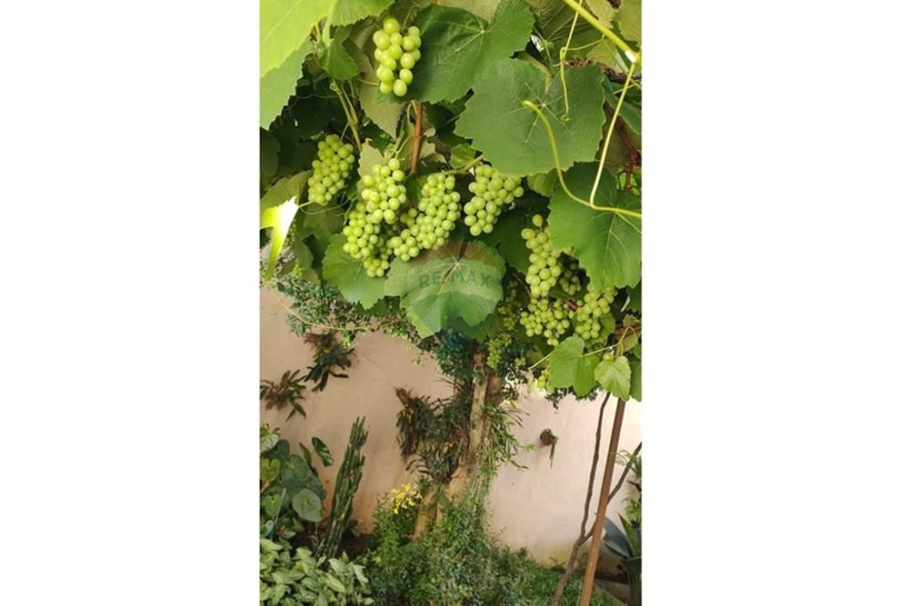 Casa - Venda - São Paulo , São Paulo - WhatsApp Image 2025-09-25 at 13.12.45.jpeg - 601131079-5