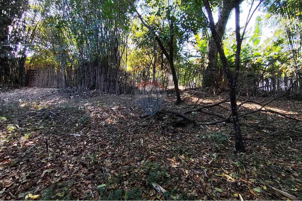 Terreno - Venda - Ferraz de Vasconcelos , São Paulo - IMG_20250918_150124.jpg - 601451005-109