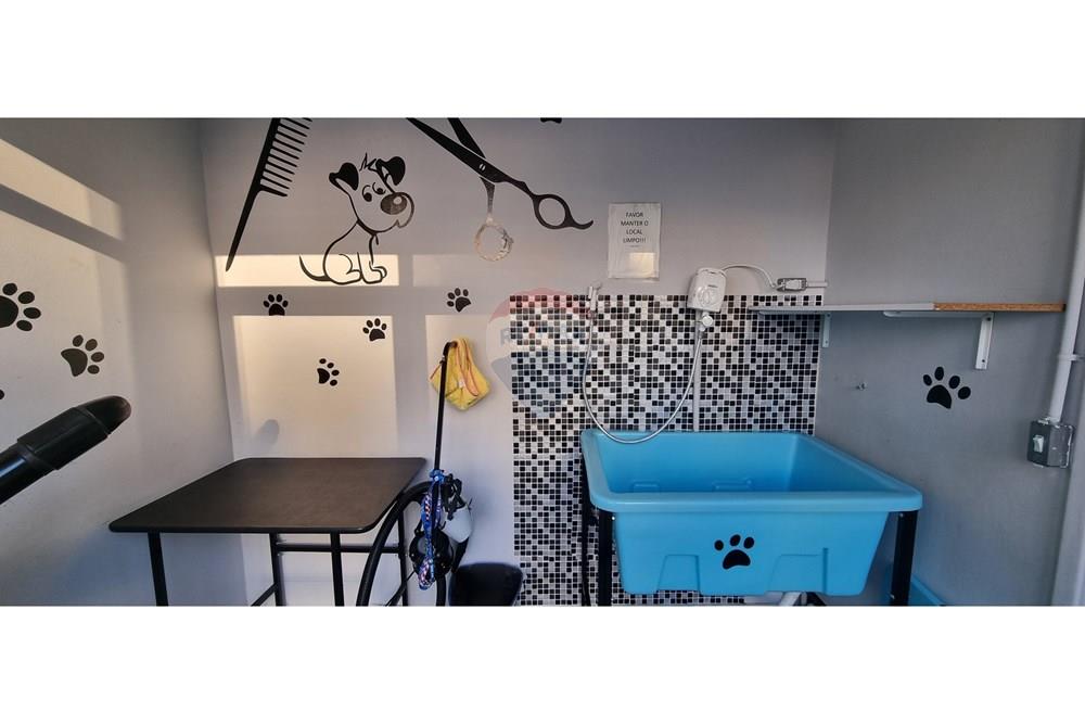 Apartamento - Alugar - São Paulo , São Paulo - 20250530_155814.jpg - 602231015-1