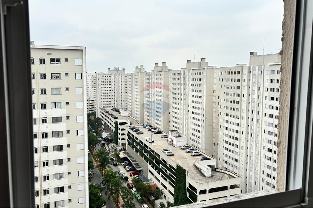 Apartamento - Alugar - São Paulo , São Paulo - WhatsApp Image 2025-12-19 at 13.35.37.jpeg - 602411011-7