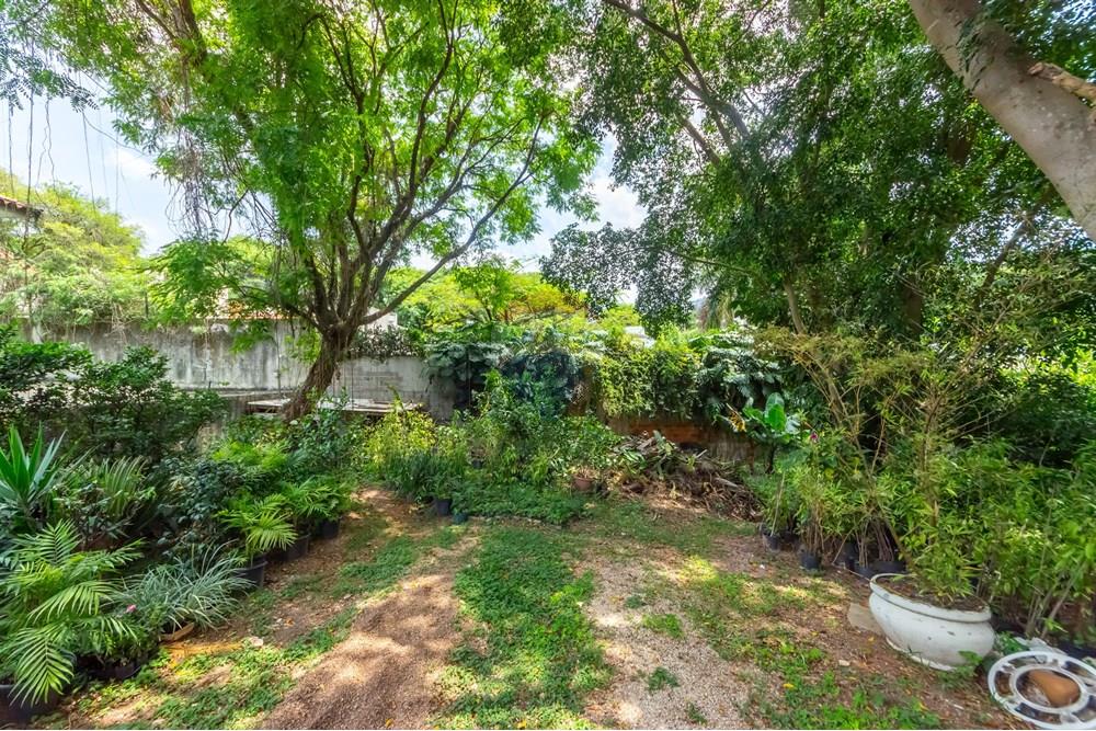 Terreno - Venda - São Paulo , São Paulo - IMG_961801.jpg - 601461011-91