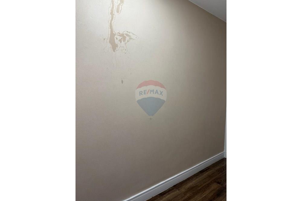 Casa - Alugar - São Paulo , São Paulo - WhatsApp Image 2026-02-10 at 18.57.28 (2).jpeg - 601361051-63