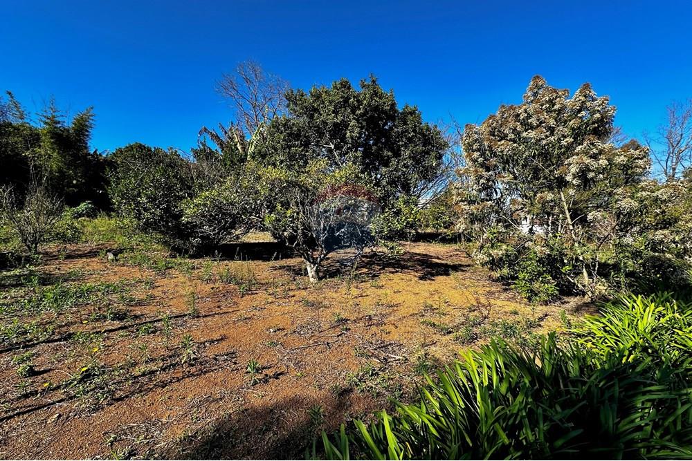 Terreno - Venda - Cotia , São Paulo - IMG_9079.jpg - 602331010-41