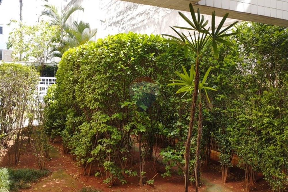 Apartamento - Alugar - São Paulo , São Paulo - WhatsApp Image 2026-01-15 at 14.28.19 (1).jpeg - Jardim Externo - 602031023-22